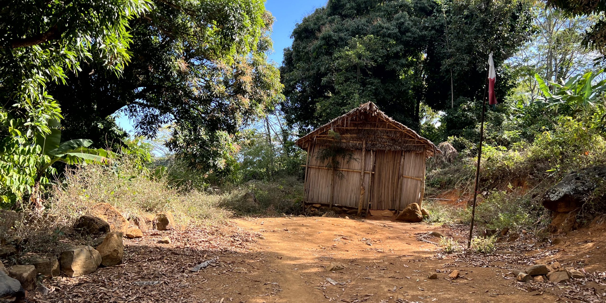 20220807_060851287_iOS