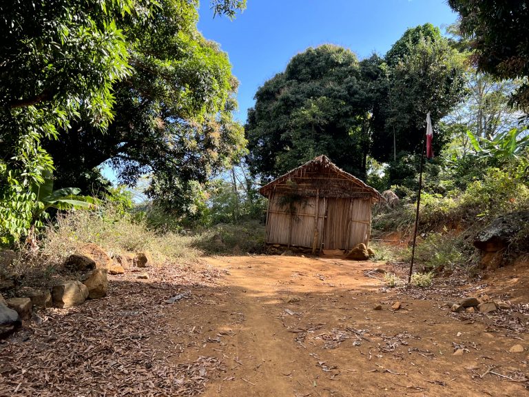 20220807_060851287_iOS